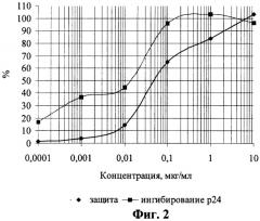 5`-аминокарбонилфосфонаты d4т - ингибиторы репродукции вируса иммунодефицита человека (патент 2247124)