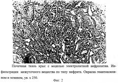 Способ моделирования электролитной нефропатии у крыс (патент 2256953)