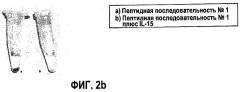 Пептидный антагонист интерлейкина-15 (патент 2396276)