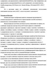 Способ получения l-треонина с использованием бактерии, принадлежащей к роду escherichia, в которой инактивирован кластер генов yrah-r (патент 2337962)