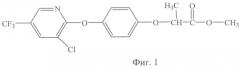 Гербицидное средство длительного действия для грунтового применения (патент 2494621)