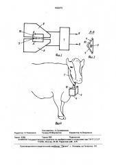 Устройство идентификации животных (патент 1653675)