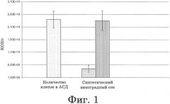 Способ инокуляции дрожжей во фруктовый сок (патент 2585846)