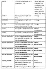 Новые ферменты метанолдегидрогеназы из bacillus (патент 2624017)