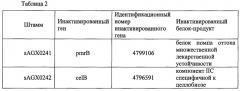 Модифицированные грамположительные бактерии и их применение (патент 2653757)
