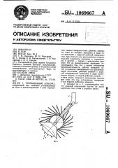 Теребильный аппарат (патент 1069667)