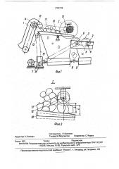 Устройство для сортировки плодов (патент 1720749)