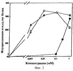 Эфиры 5-аминолевулиновой кислоты как фоточувствительные агенты в фотохимиотерапии (патент 2246483)