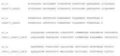 Пептид или пептидный комплекс, связывающийся с альфа2-интегрином, способы его получения и применения указанного вещества (патент 2588668)