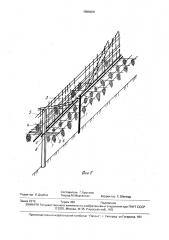 Способ ведения виноградного куста в условиях механизированной уборки (патент 1586608)