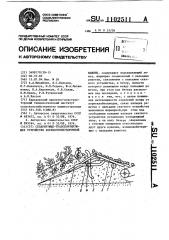 Сепарирующе-транспортирующее устройство корнеклубнеуборочной машины (патент 1102511)