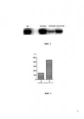 Антитела, связывающие опухолеассоциированный muc1, и способы их получения (патент 2652901)