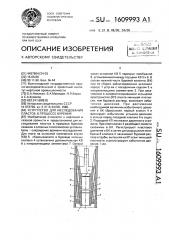 Устройство для исследования пластов в процессе бурения (патент 1609993)