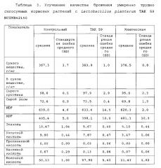Изолированный штамм микроорганизма lactobacillus plantarum tak 59 ncimb42150 и его применение (патент 2645471)