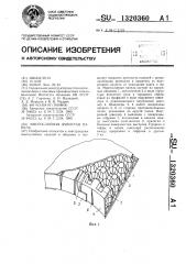 Многослойная ячеистая панель (патент 1320360)