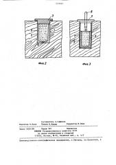 Способ обработки деревянных конструкций для предохранения от гниения (патент 1253423)
