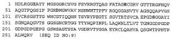 Протеаза streptomyces (патент 2486244)