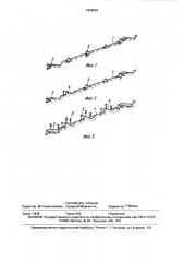 Способ реконструкции малоценных насаждений (патент 1646522)