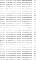 Штамм lactobacillus paracasei subspecies paracasei, обладающий антимикробными и иммуномодулирующими свойствами, и пищевой продукт на его основе (патент 2501850)