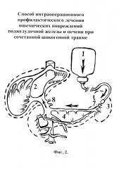 Способ интраоперационного профилактического лечения ишемических повреждений поджелудочной железы и печени при сочетанной шокогенной травме (патент 2620496)