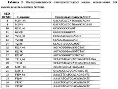 Способ анализа соматических мутаций в химерном гене bcr/abl с использованием от-пцр и последующей гибридизацией с олигонуклеотидным биологическим микрочипом (биочипом) (патент 2609641)