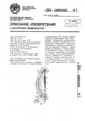 Устройство для лечения искривлений позвоночника (патент 1602503)