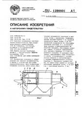 Устройство для мойки корнеклубнеплодов (патент 1398801)