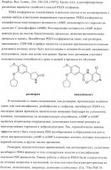 Ингибиторы фосфодиэстеразы 4, включающие n-замещенные аналоги анилина и дифениламина (патент 2368604)