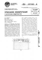 Устройство для предотвращения смещения пакетированных и сыпучих грузов в трюме судна (патент 1071521)