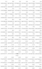 Рекомбинантная плазмида pesat6-cfp10-dbd, рекомбинантный штамм escherichia coli m15 [prep4, pesat6-cfp10-dbd], способ получения, иммобилизации, концентрирования и очистки рекомбинантного белка esat6-cfp10-dbd на декстране, рекомбинантный белок esat6-cfp10-dbd и иммуногенная композиция, содержащая белок esat6-cfp10-dbd (патент 2539026)