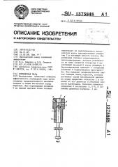 Плунжерная пара (патент 1375848)