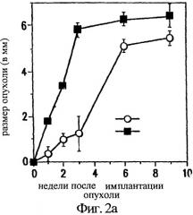 Способ ингибирования роста опухолей головного мозга с помощью отобранных антагонистов интегринов (патент 2255765)