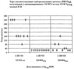Вакцина против вируса лихорадки западного нила (патент 2376374)