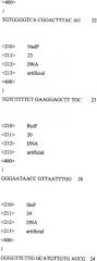 Набор олигонуклеотидных праймеров для определения видовой принадлежности осетровых рыб и продукции из них (патент 2332463)