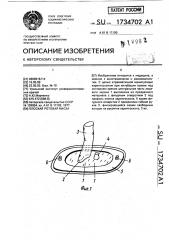 Плоская ротовая маска (патент 1734702)