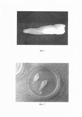 Способ формирования смешанной биопленки пародонтопатогенных анаэробных бактерий in vitro (патент 2661114)