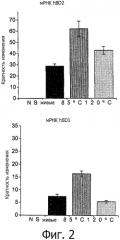 Bifidobacterium longum ncc 2705 (cncm 1-2618) и иммунные расстройства (патент 2554772)