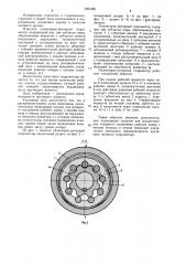 Планетарно-роторный гидромотор (патент 1081365)