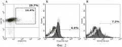 Способ обогащения регуляторных cd4+cd25+foxp3+t-клеток человека ex vivo (патент 2437933)