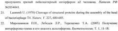 Рекомбинантная плазмидная днк pfastbac-b17r, содержащая фрагмент генома вируса оспы коров, кодирующий альфа/бета-интерферонсвязывающий белок и штамм бакуловируса bvb17rg, продуцирующий растворимый альфа/бета-интерферонсвязывающий белок вируса оспы коров (патент 2405824)