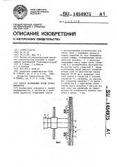 Способ возведения крепи горных выработок (патент 1454975)