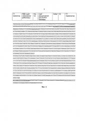 Способ очистки бактериофагов (патент 2590609)