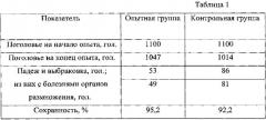 Способ коррекции воспалительных органопатологий репродуктивной системы у кур-несушек (патент 2564003)