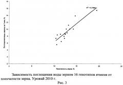 Способ оценки пленчатости зерна генотипов ячменя (патент 2495563)