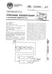 Устройство для расширения динамического диапазона магнитной записи (патент 1314381)