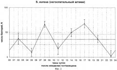 Способ индикации госпитальных штаммов по биоритмам бактерий (патент 2285257)