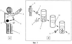 Функциональный иммуноанализ in vitro (патент 2416797)