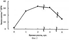 Способ определения гексоз в супрамолекулярных структурах клеток escherichia coli (патент 2510846)