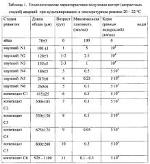 Способ интенсивного когортного культивирования акарций (морских каланоидных копепод) (патент 2614644)