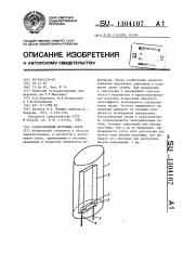 Газоразрядный источник света (патент 1304107)